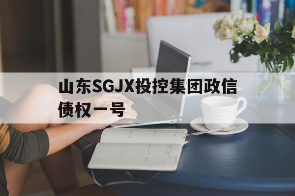 山东SGJX投控集团政信债权一号(文投控股东方财富股吧)