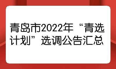 山东青州宏源债权资产计划（2022）的简单介绍