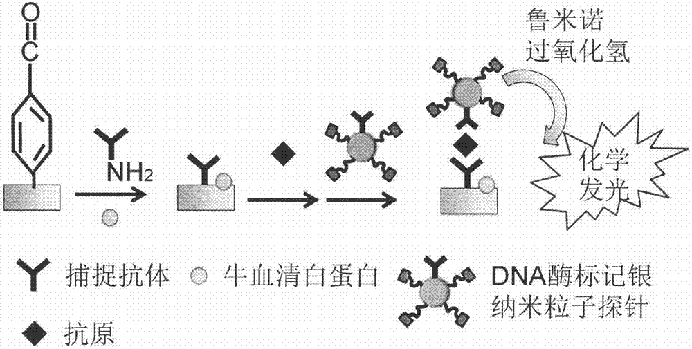 化学发光免疫(化学发光免疫是检查什么)