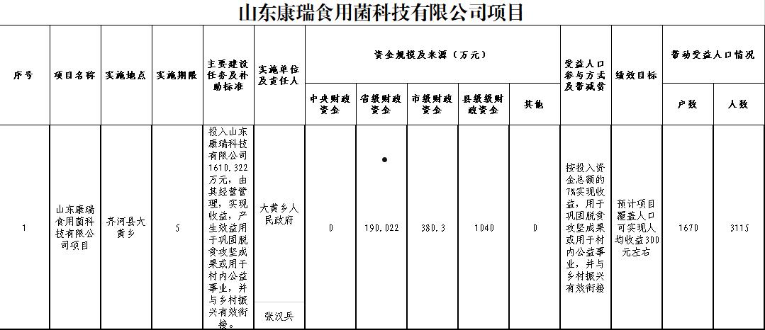 山东齐河县城市经营建设投资债权资产(齐河县城市经营建设投资有限公司是国企吗)