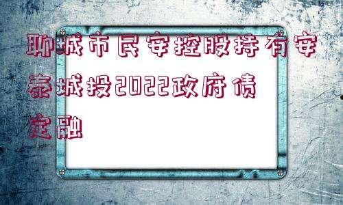 聊城市民安控股融资计划(聊城民安融富置业有限公司马海燕)