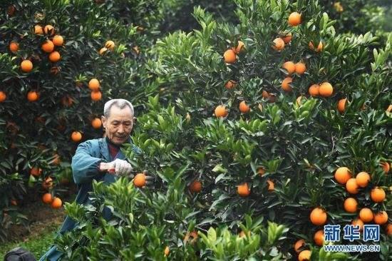 包含奉节县三峡库区生态产业发展企业信用资产的词条