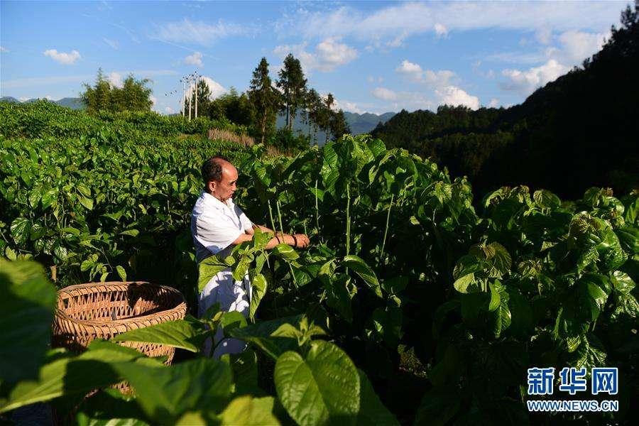 奉节县三峡库区生态产业发展企业信用资产（一）的简单介绍