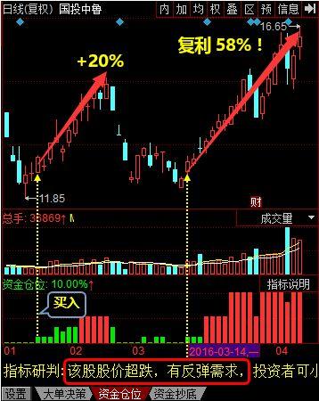 国投中鲁股票(国投中鲁股票怎么样)