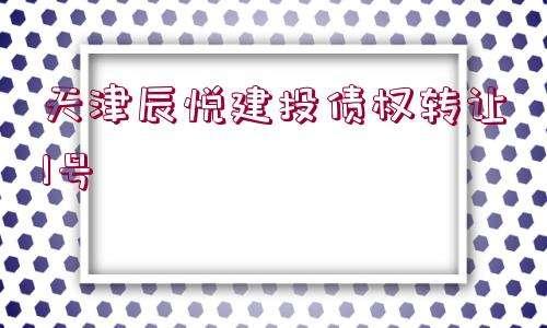 天津市辰悦建投债权转让2号政府债的简单介绍