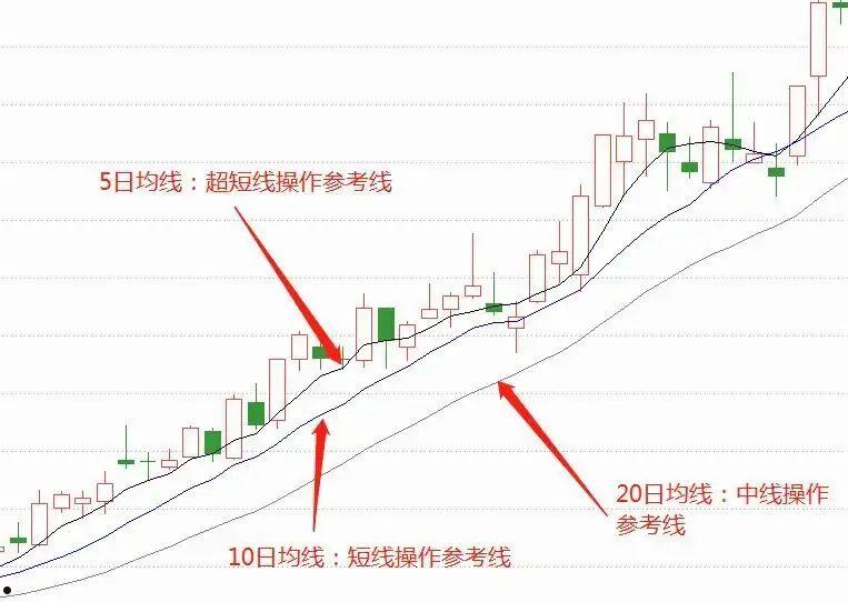 600195股票(600195股票股吧)