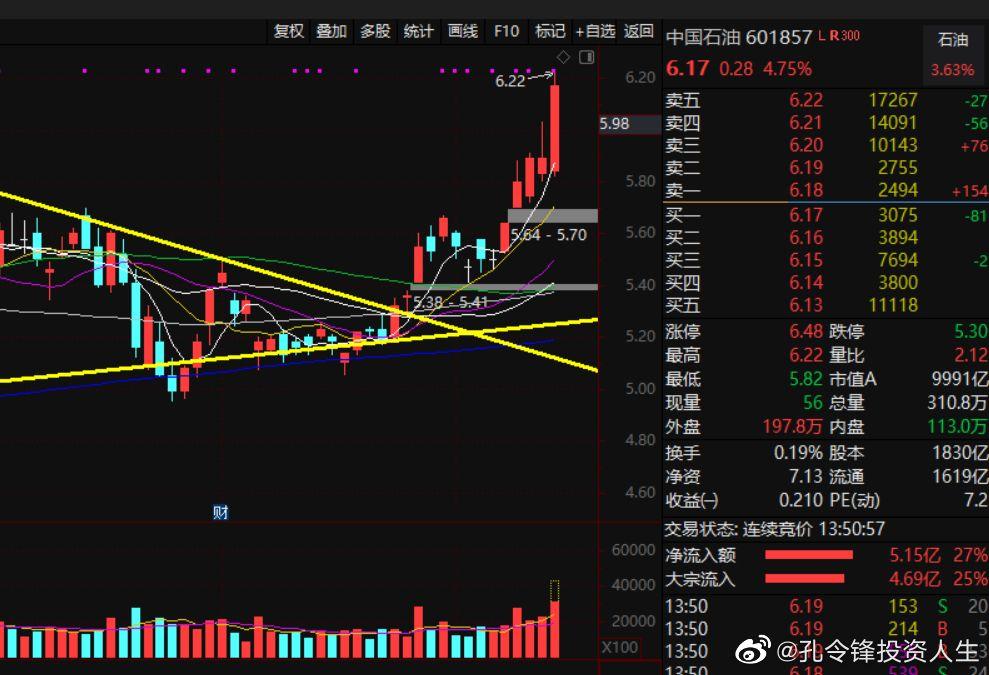 中国石油股(中国石油股票基本面分析)