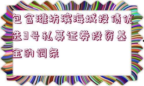 山东潍河城投债权政府债定融(潍坊滨城投资开发有限公司 发债)