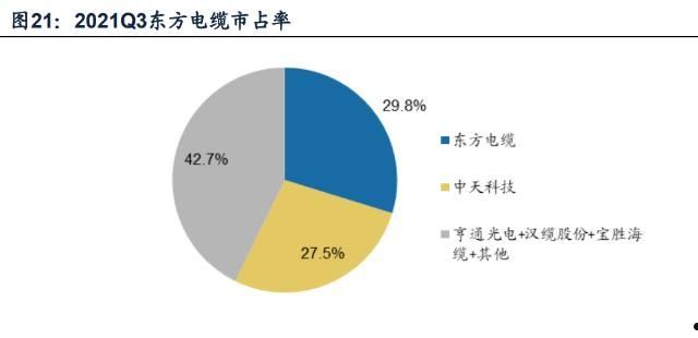 东方电缆股票(东方电缆股票东方财富)