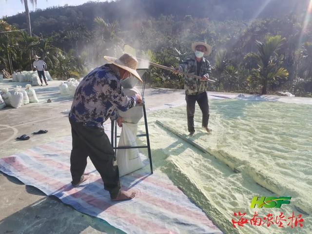 海南橡胶网(海南橡胶公司简介)