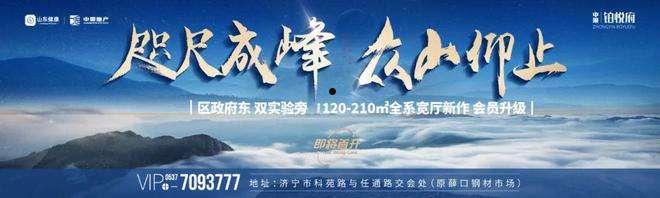 关于山东济宁金乡城建2022年债权资产的信息