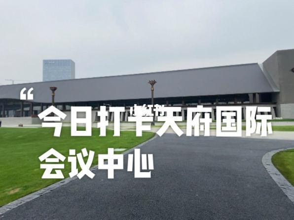 四川龙阳天府新区建设投资债权资产拍卖定融项目的简单介绍