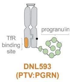 biogen(biogenic amines)