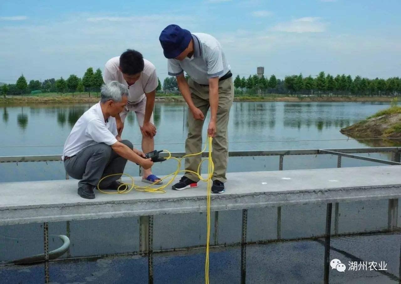 深度水产养殖(水产前沿养殖网)