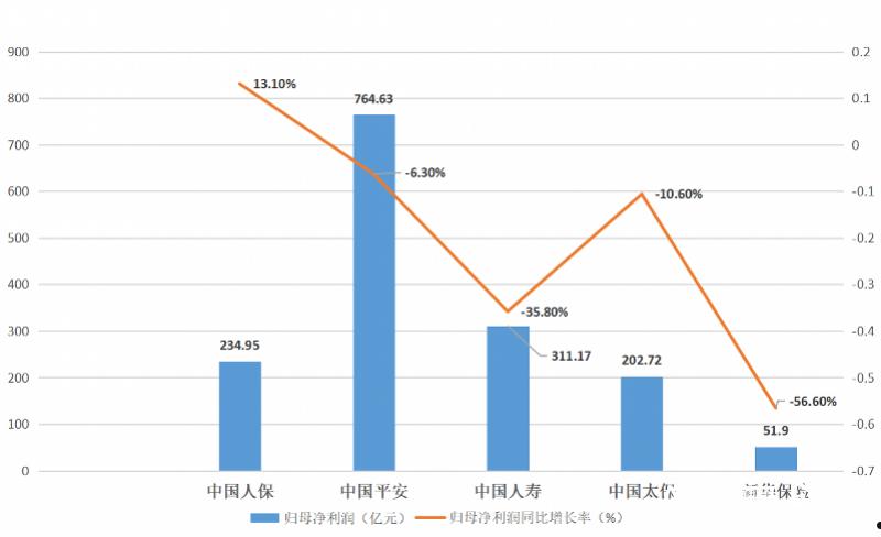 新华保险上市时间(新华保险公司是什么时候上市的)