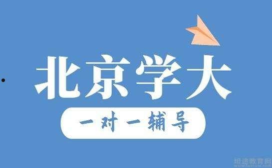 学大(学大寨是什么意思)