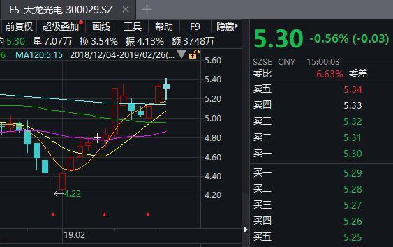 300029天龙光电(300029天龙光电股票)