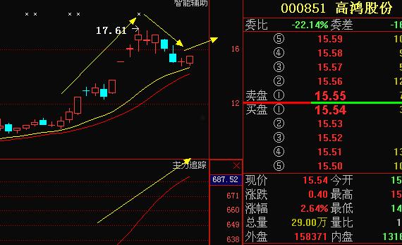 高鸿股份000851(高鸿股份000851重组)