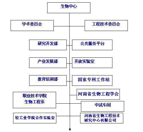 新药证书(新药证书有效期是多少年?)