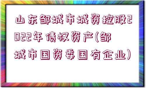 关于2022WF市主城区债权计划的信息