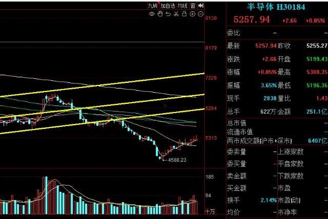 景洪国投2022年债权(景洪国投2022年债权多少)