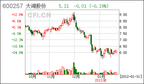 2010年十大牛股的简单介绍