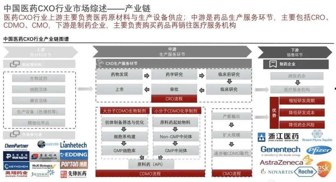 CXO(cxo板块是什么意思)