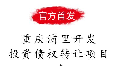 关于洛阳汝阳城投债应收账款债权计划的信息