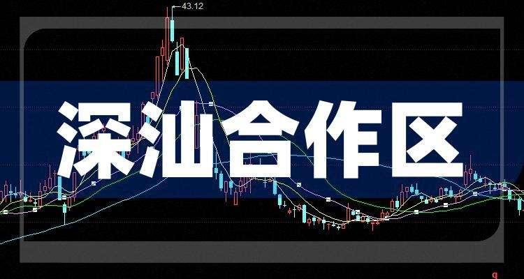 深振业a(深振业a公司简介)