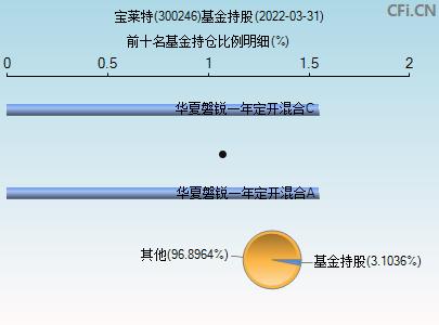 300246股票(300246股票走势图)