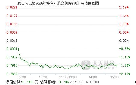 嘉实主题精选(嘉实主题精选分红)