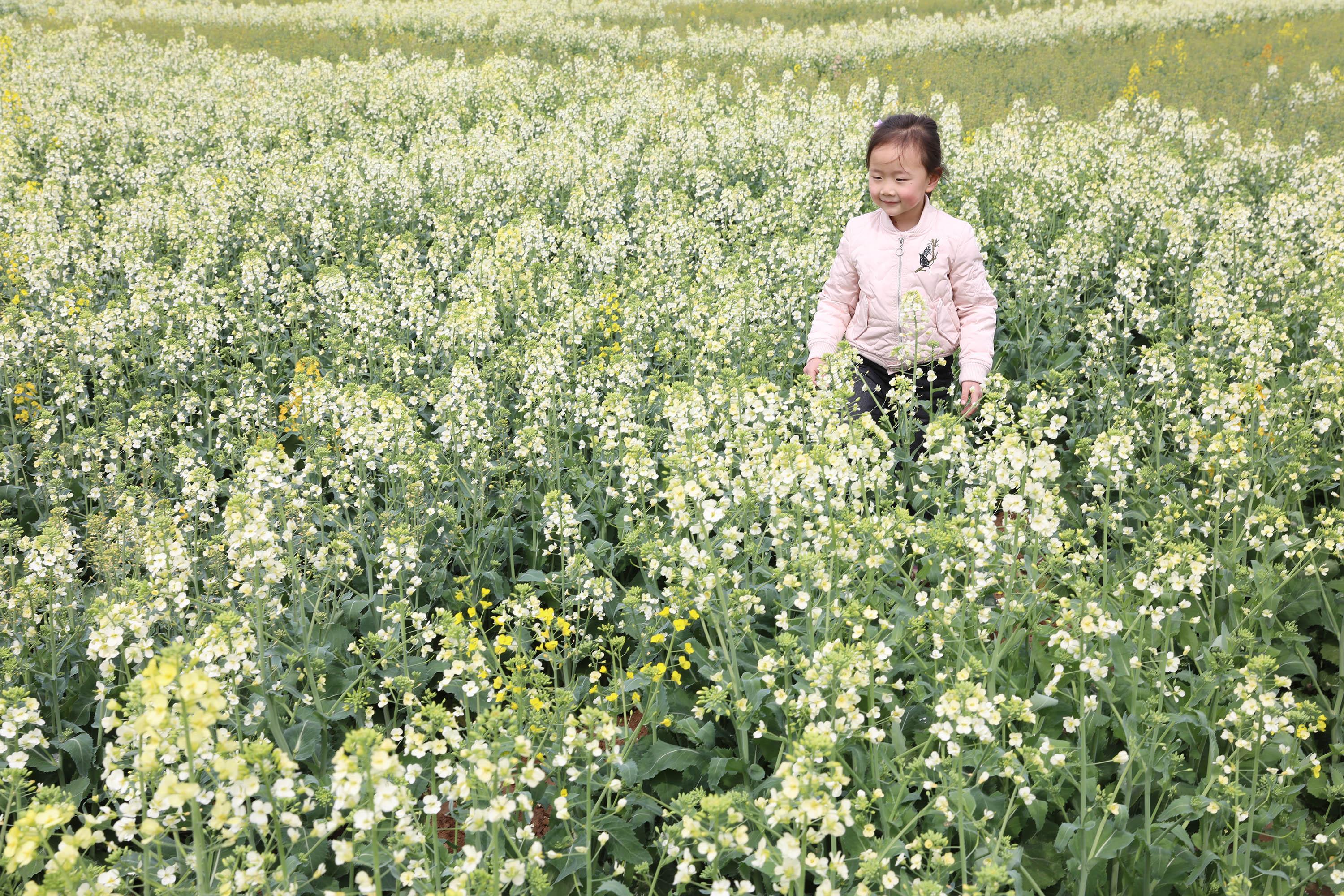 3月27日(3月27日是什么星座阴历)