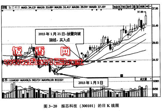 300101股票(300101股票什么样)