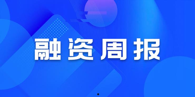 鱼台鑫达投资2022年债权(鱼台鑫达投资2022年债权转让)