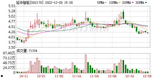 延华智能002178(延华智能科技有限公司怎么样)