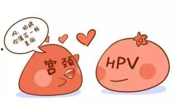 hpv(hpv52阳性是什么意思)