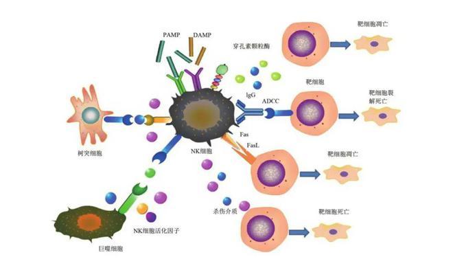 癌症治疗(癌症治疗费用医保报销比例)