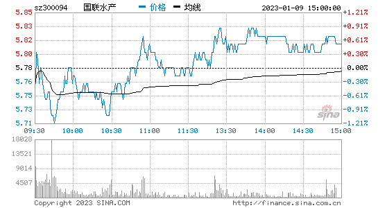 股票300094(股票300开头的是什么股票)