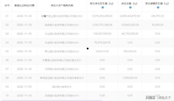 山东潍坊滨城投资政信债权1号(潍坊滨城投资开发有限公司信用评级)