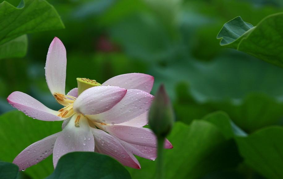 7月15日(7月15日高速免费吗)