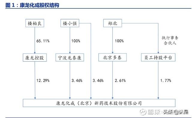 康龙化成(康龙化成是国企还是外企)