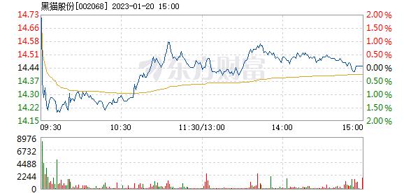 黑猫股份(黑猫股份股票行情)